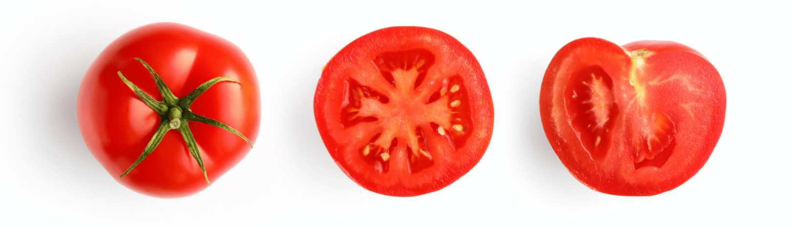 太陽のたまもの